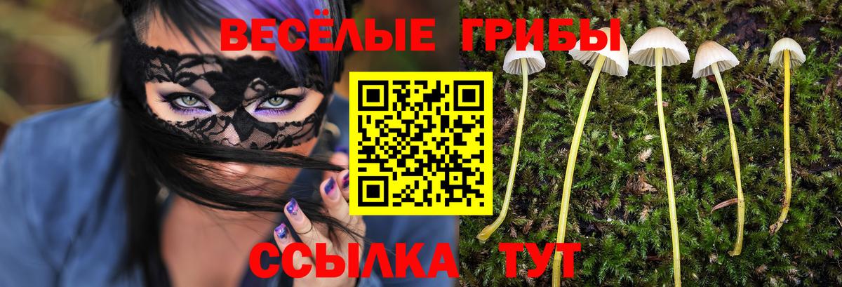 Саки  Псилоцибиновые грибы MAGIC MUSHROOMS  Галлюциногенные грибы Cubensis  цены   Вход с VPN 